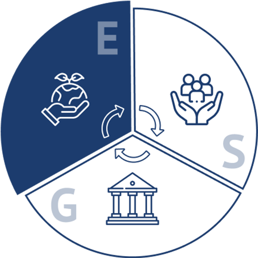 E in ESG