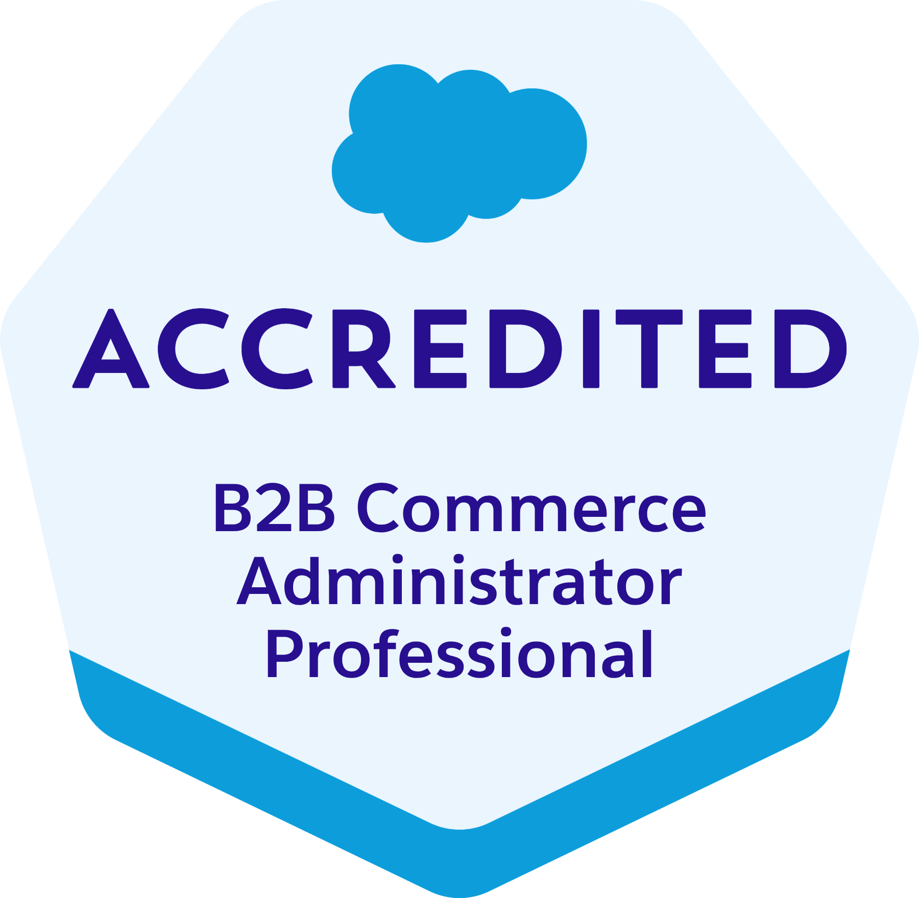 05_Salesforce_Accredited_B2B_Commerce_Administrator_Professional
